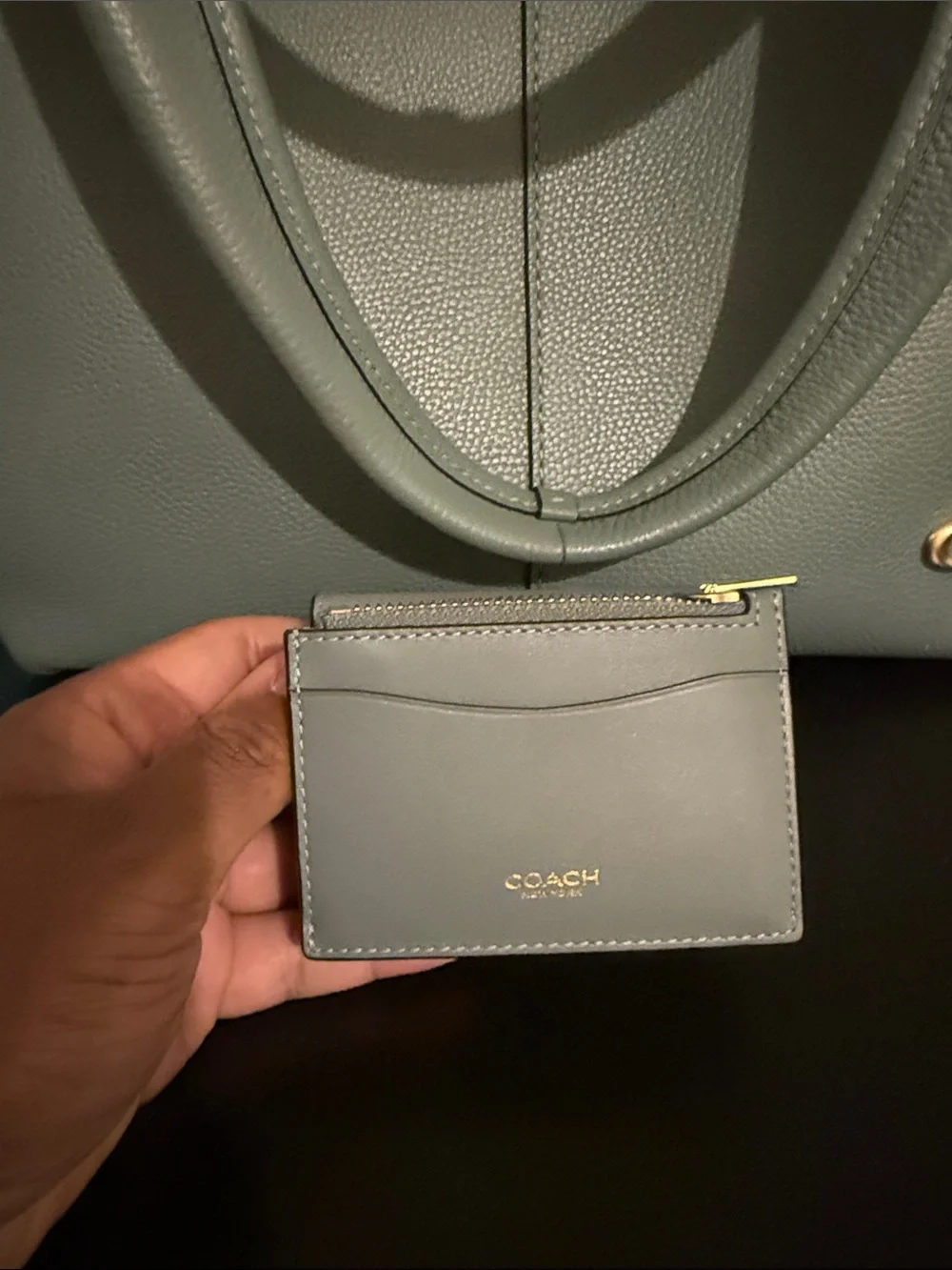 Coach Large Lana Bag in Sage